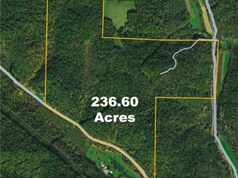 868 Township Road 278, Bergholz, OH 43908 Photo 25