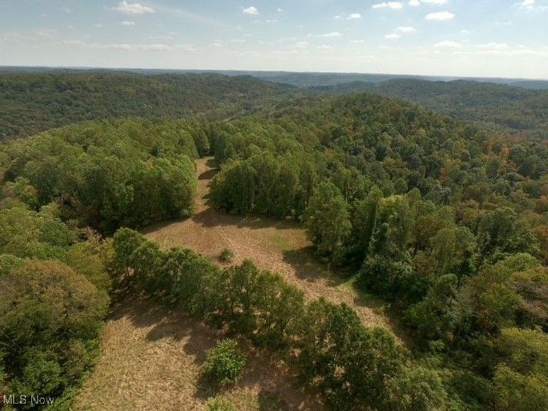 868 Township Road 278, Bergholz, OH 43908 Photo 26