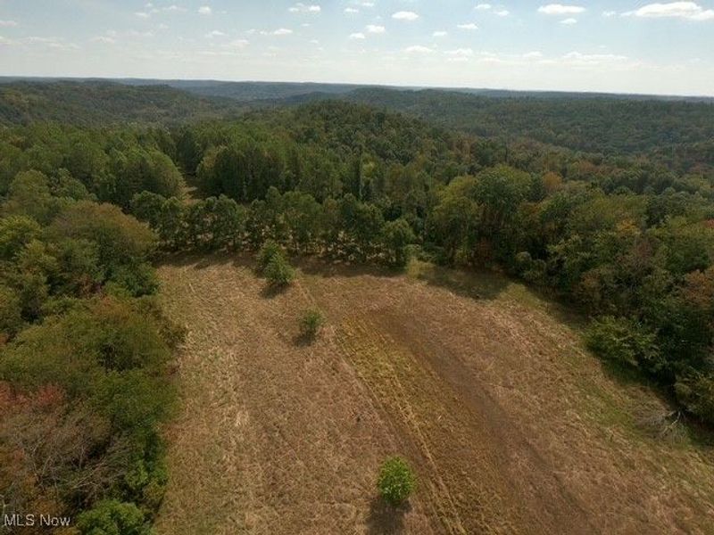 868 Township Road 278, Bergholz, OH 43908 Photo 28