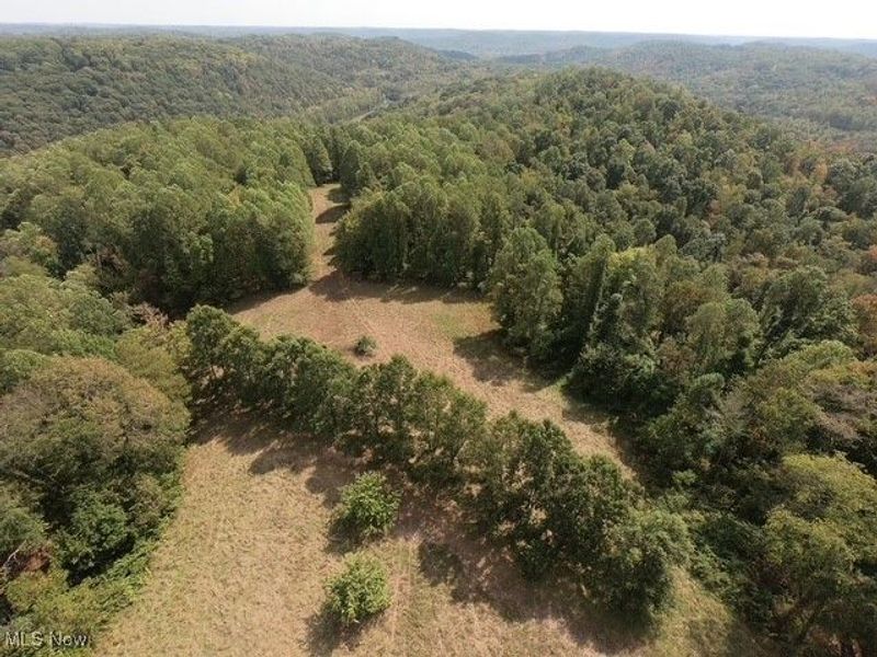 868 Township Road 278, Bergholz, OH 43908 Photo 29