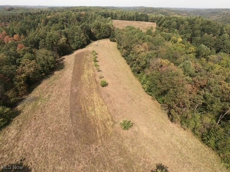 868 Township Road 278, Bergholz, OH 43908 Photo 31