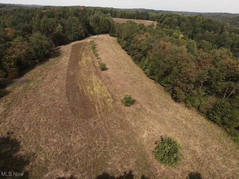 868 Township Road 278, Bergholz, OH 43908 Photo 32