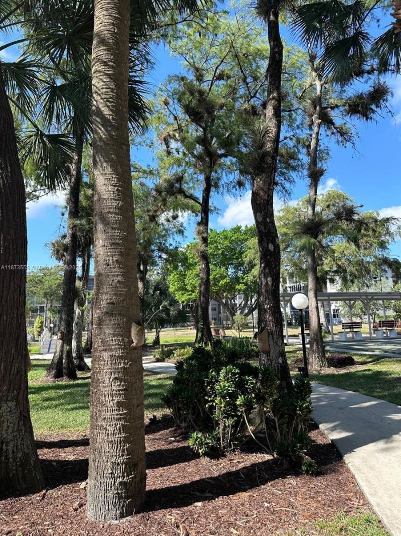 4850 NW 29th Ct, Unit 130, Lauderdale Lakes, FL 33313 Photo