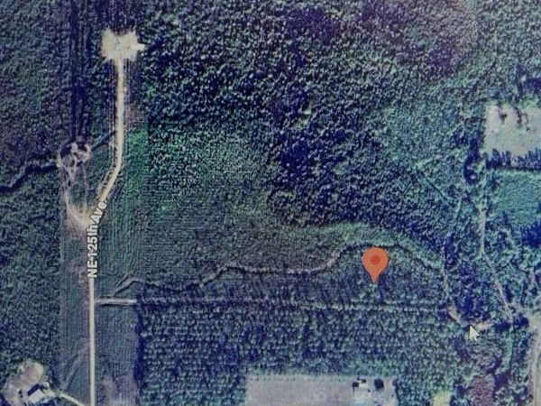 Tdb Ne 125th Ave, Fort McCoy, FL 32134