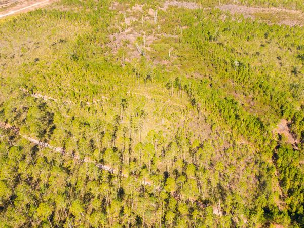 0000 Ne 125th Ave, Fort McCoy, FL 32134