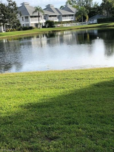 900 Misty Pines Cir, Unit 203, Naples, FL 34105 Photo