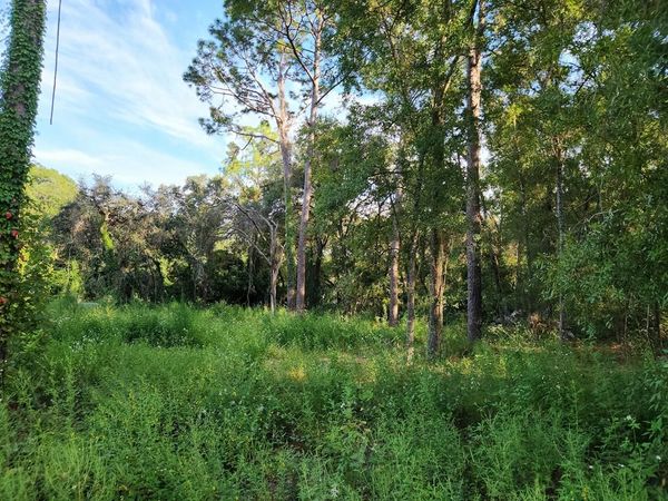 16870 NW 80th Ave, Fanning Springs, FL 32693