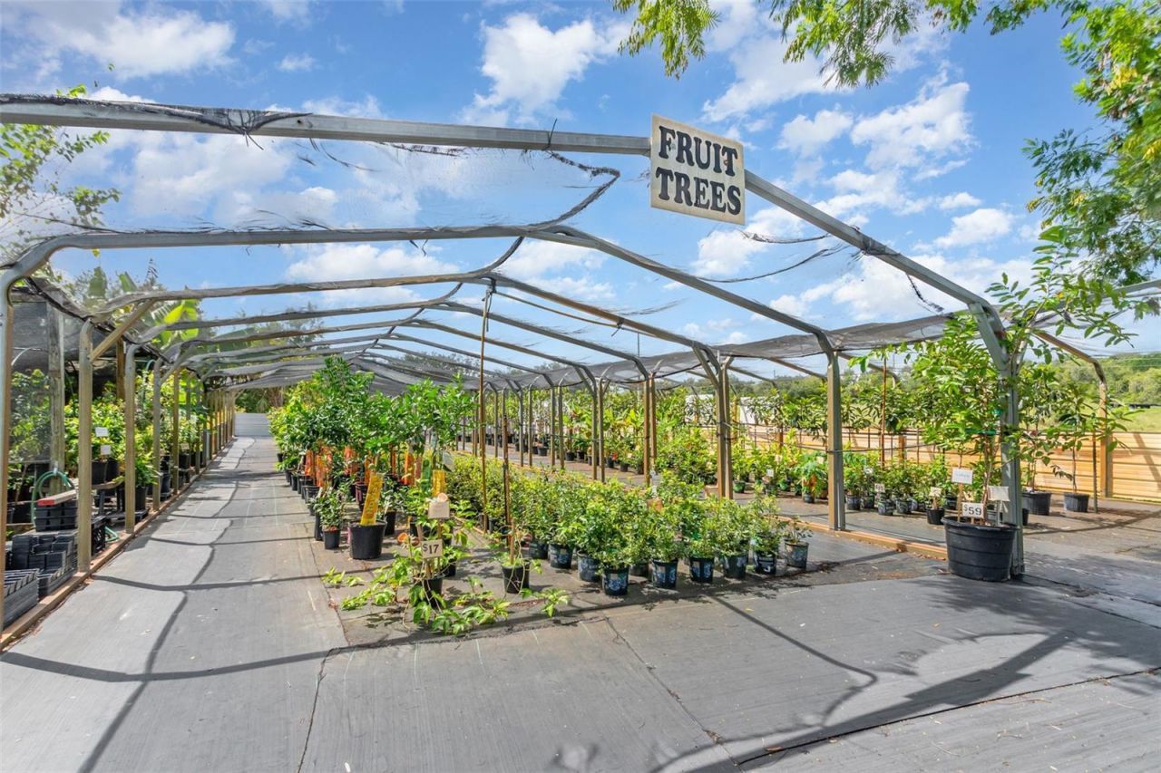 155 11th Avenue, Osteen, FL 32764 Photo