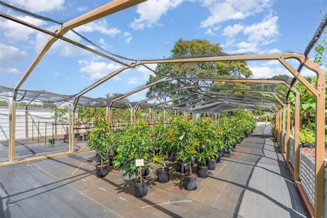 155 11th Avenue, Osteen, FL 32764 Photo