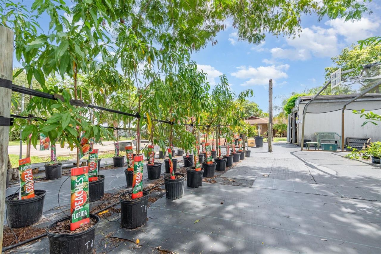 155 11th Avenue, Osteen, FL 32764 Photo