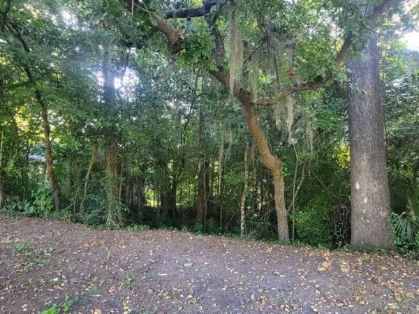 427 Stone House Road, Tallahassee, FL 32301