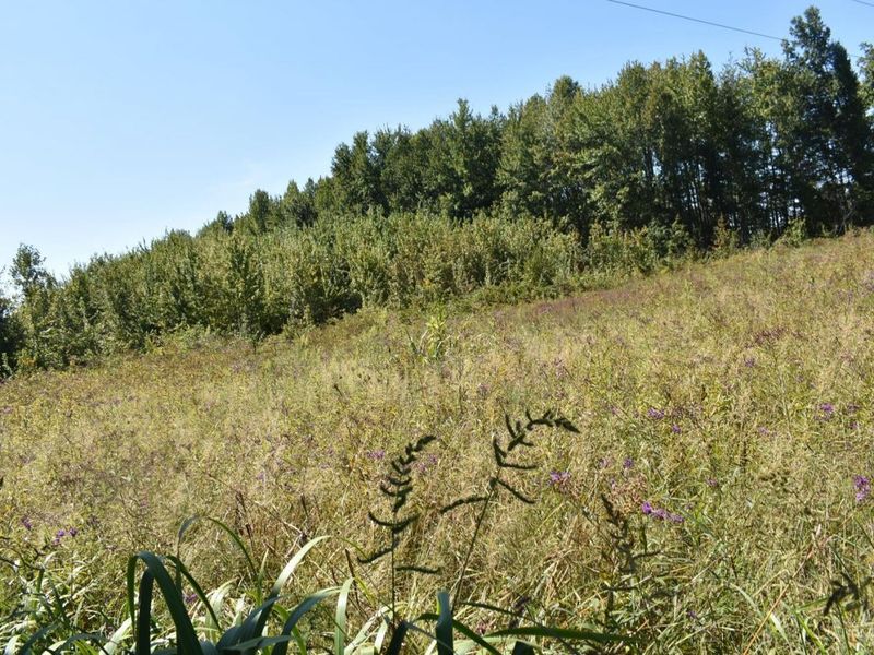 689 Duncanson Road, Whiteoak Twp, OH 45171 Photo 18