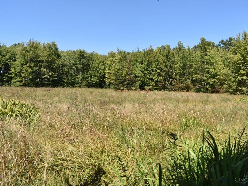 689 Duncanson Road, Whiteoak Twp, OH 45171 Photo 19