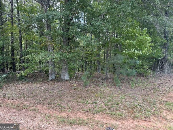 0 Teasley Trail, Moreland, GA 30259