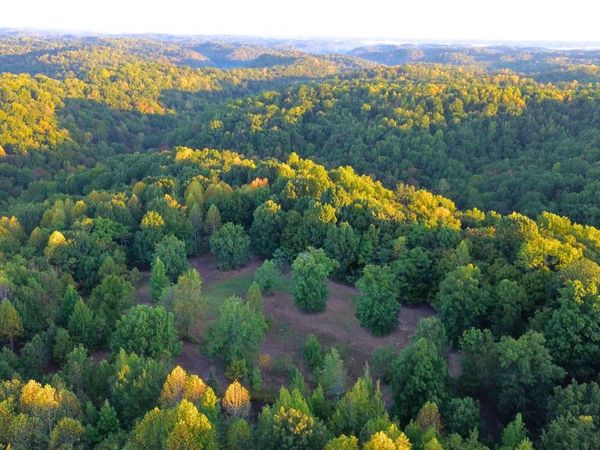 8218 Old Pond Creek Rd, Nashville, TN 37209