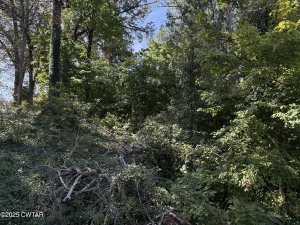 00 S Lattawood Drive, Dyersburg, TN 38024