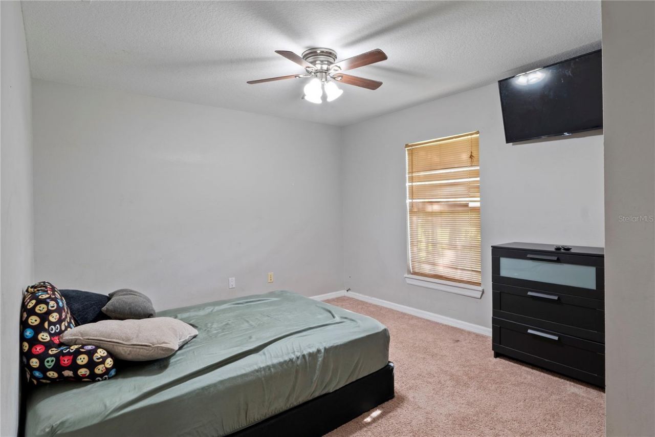 37351 Neighbors Path, Zephyrhills, FL 33542 Photo