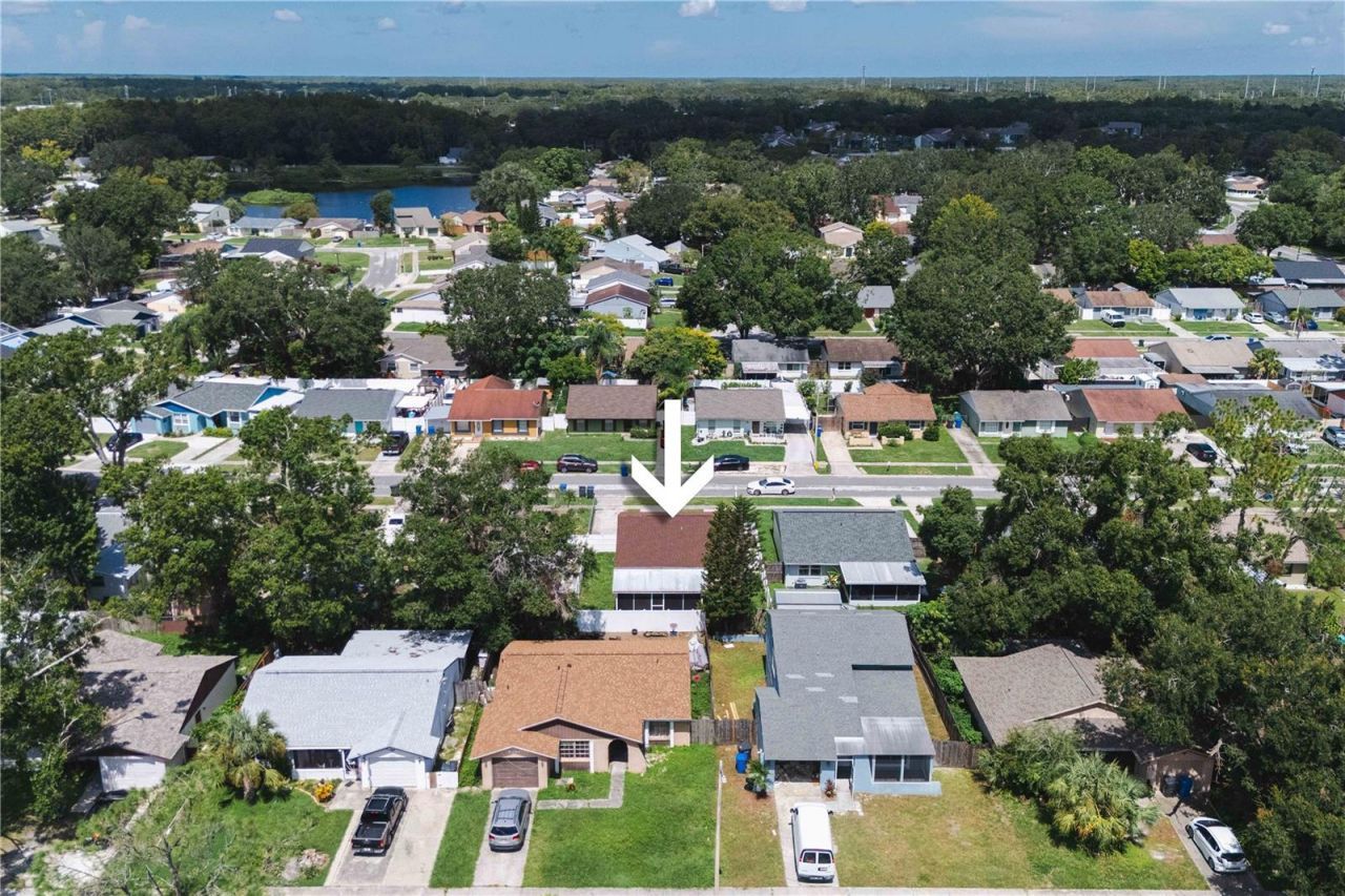 16009 Saddle Creek Drive, Tampa, FL 33618 Photo