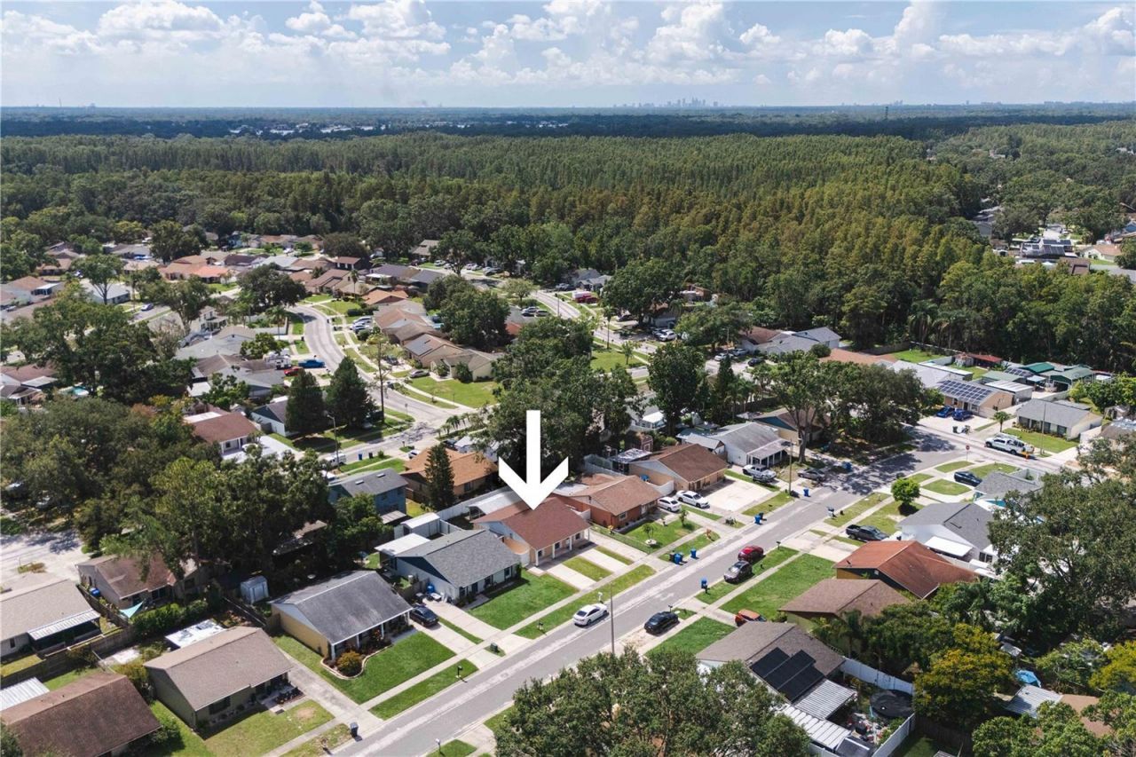 16009 Saddle Creek Drive, Tampa, FL 33618 Photo