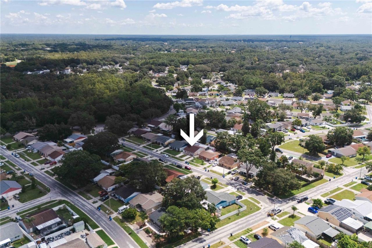 16009 Saddle Creek Drive, Tampa, FL 33618 Photo