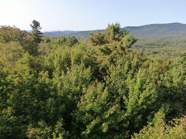 Lot# 55 Arlines Way, Woodstock, ME 04219