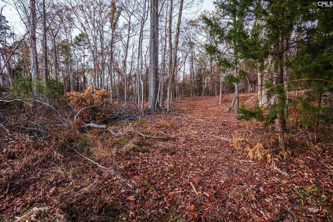 Green Meadow Drive Photo 10