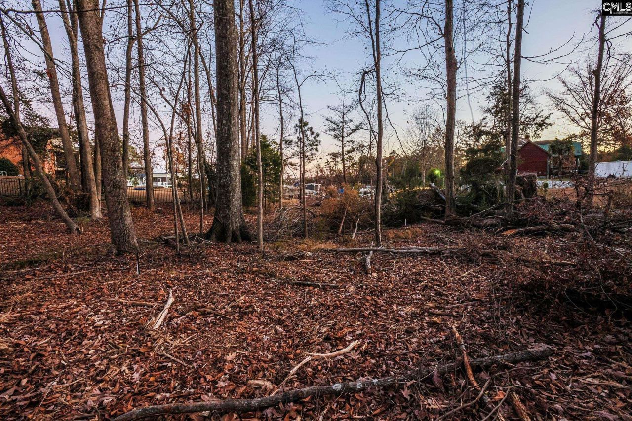 Green Meadow Drive Photo 12