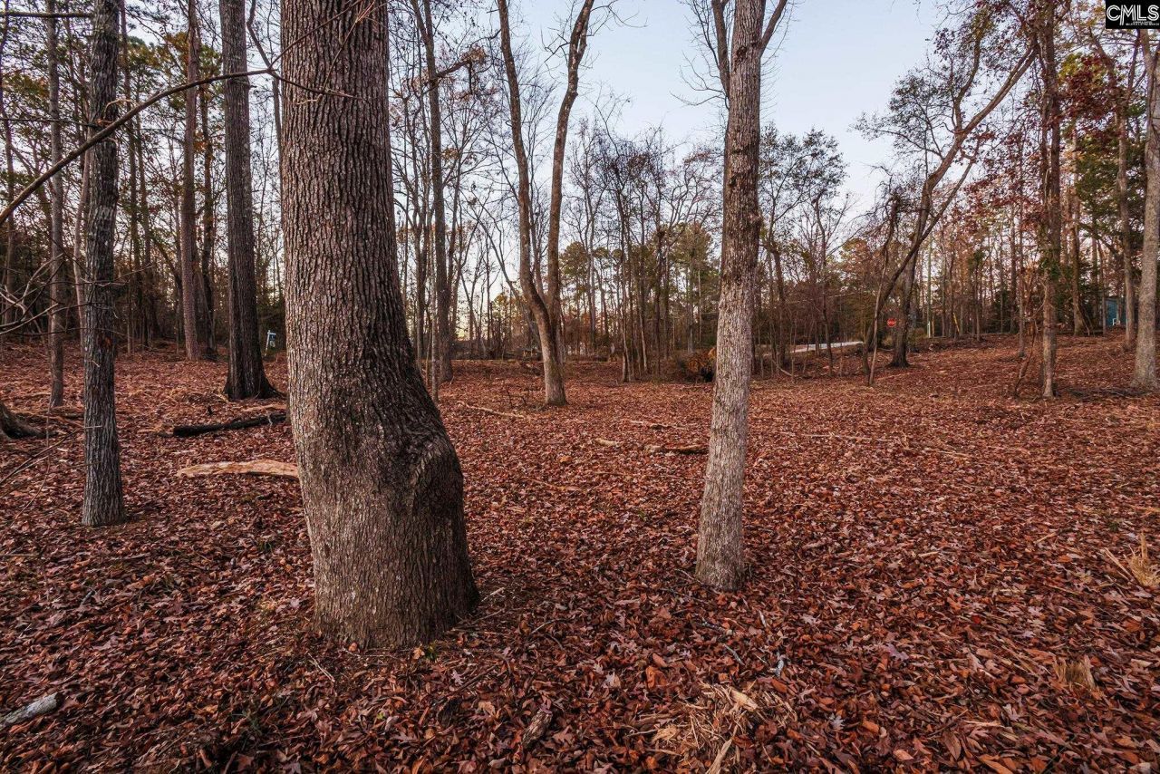 Green Meadow Drive Photo 13