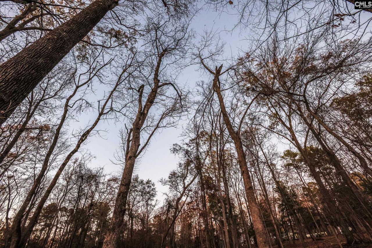 Green Meadow Drive Photo 14