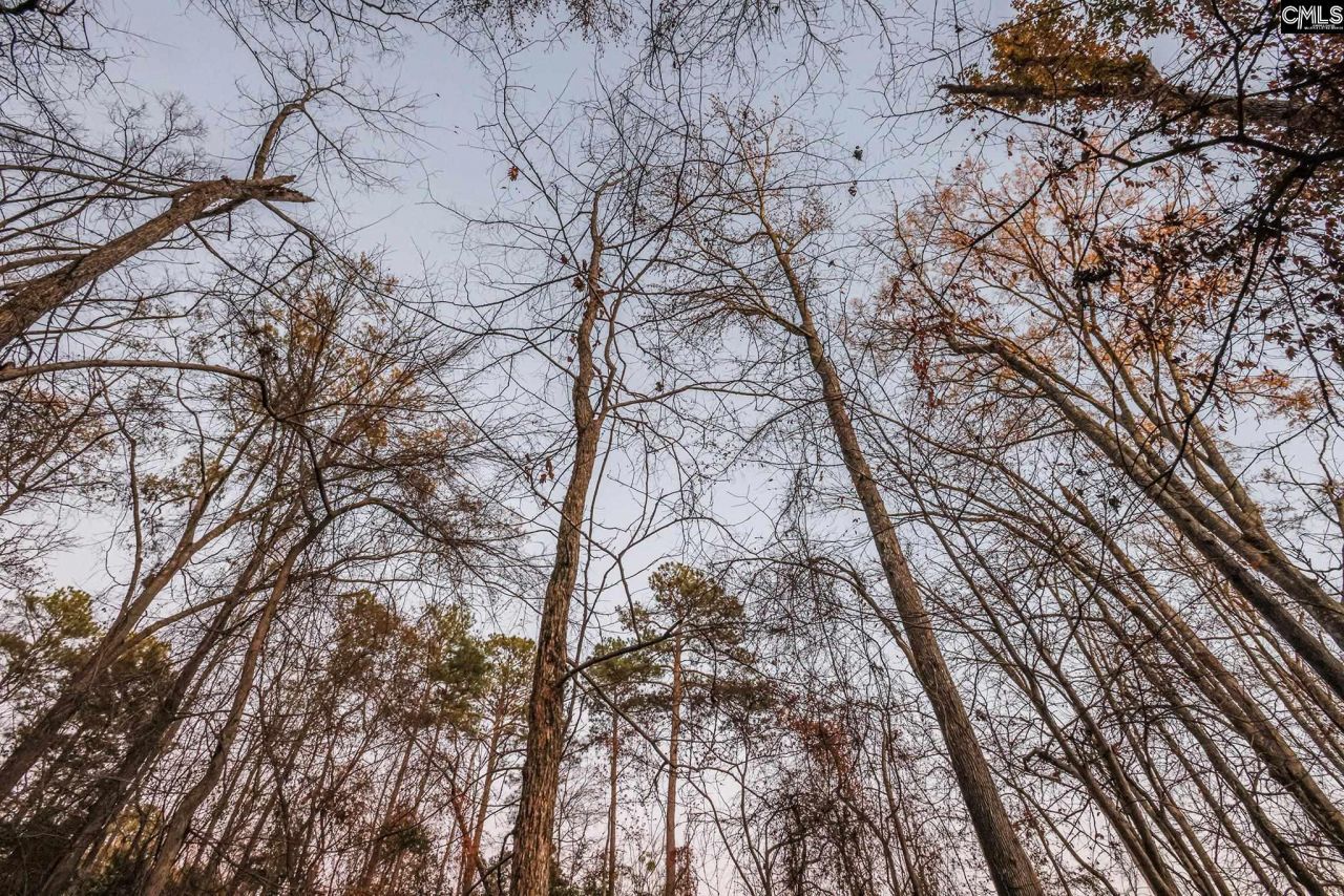 Green Meadow Drive Photo 15