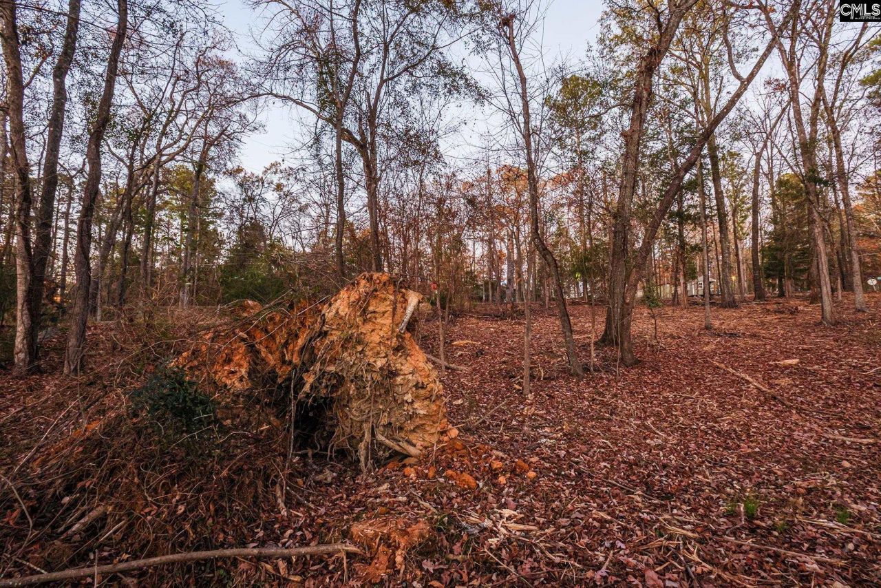 Green Meadow Drive Photo 17