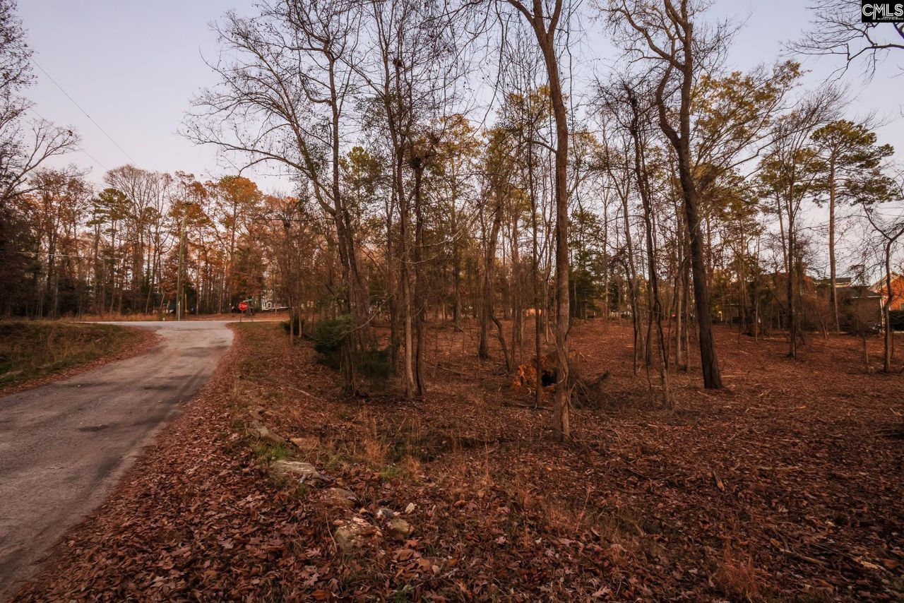 Green Meadow Drive Photo 19