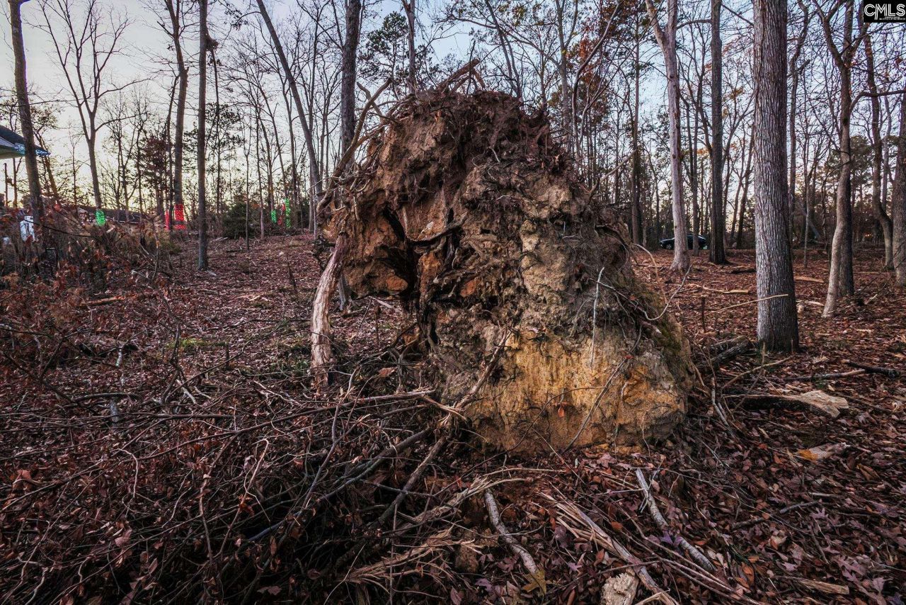 Shamrock Court  Photo 14