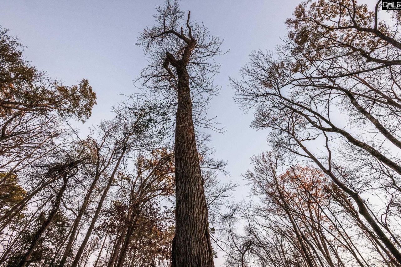 Shamrock Court  Photo 19