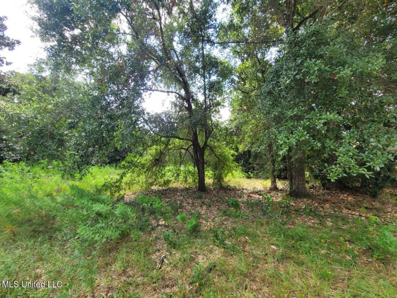 Magnolia Street, Gulfport, MS 39507 Main Photo