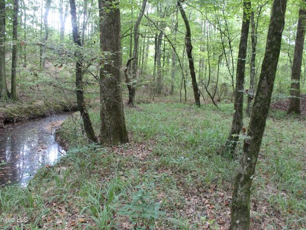 NE Hopewell Road, Brookhaven, MS 39601