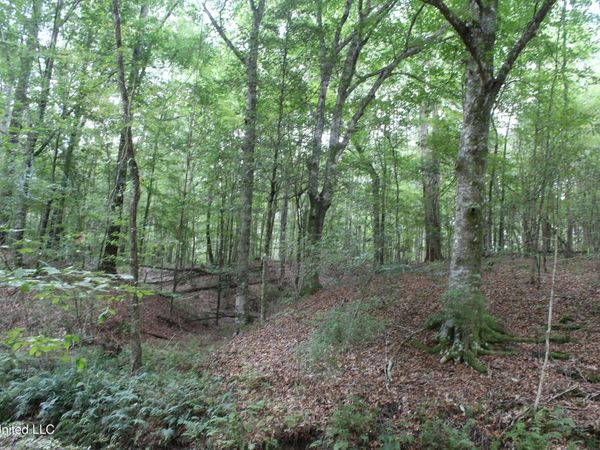 NE Greenhill Trail, Brookhaven, MS 39601