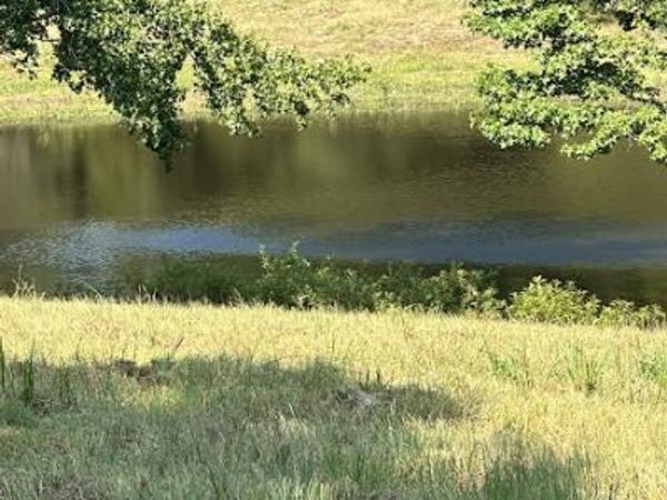 Pine Street, Hector, AR 72843