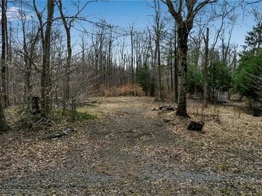 3436 Dunham Road, Warsaw, NY 14569