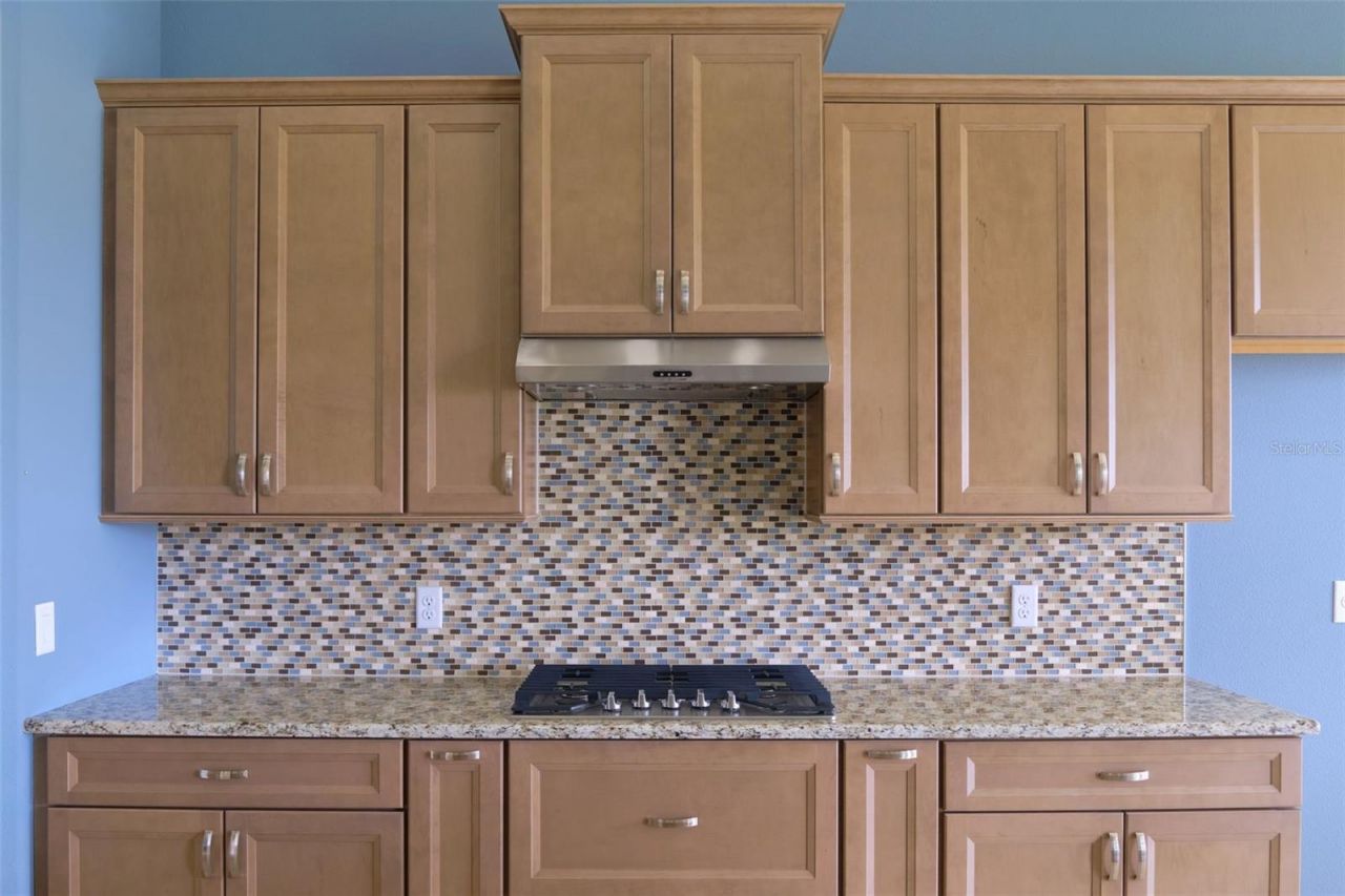 1363 W Greenmeadow Path, Hernando, FL 34442 Photo