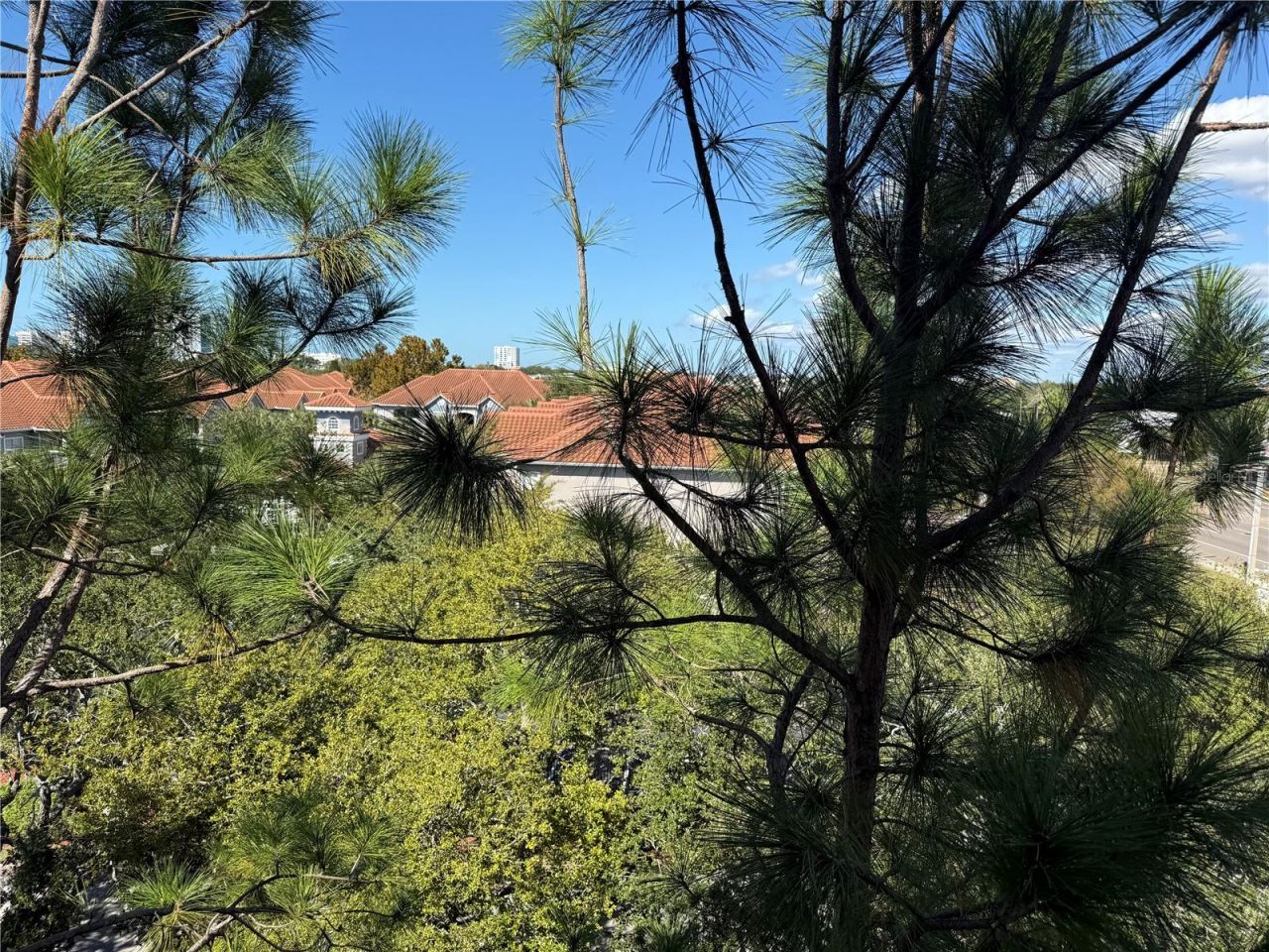 1216 S Missouri Avenue, Unit 406, Clearwater, FL 33756 Photo