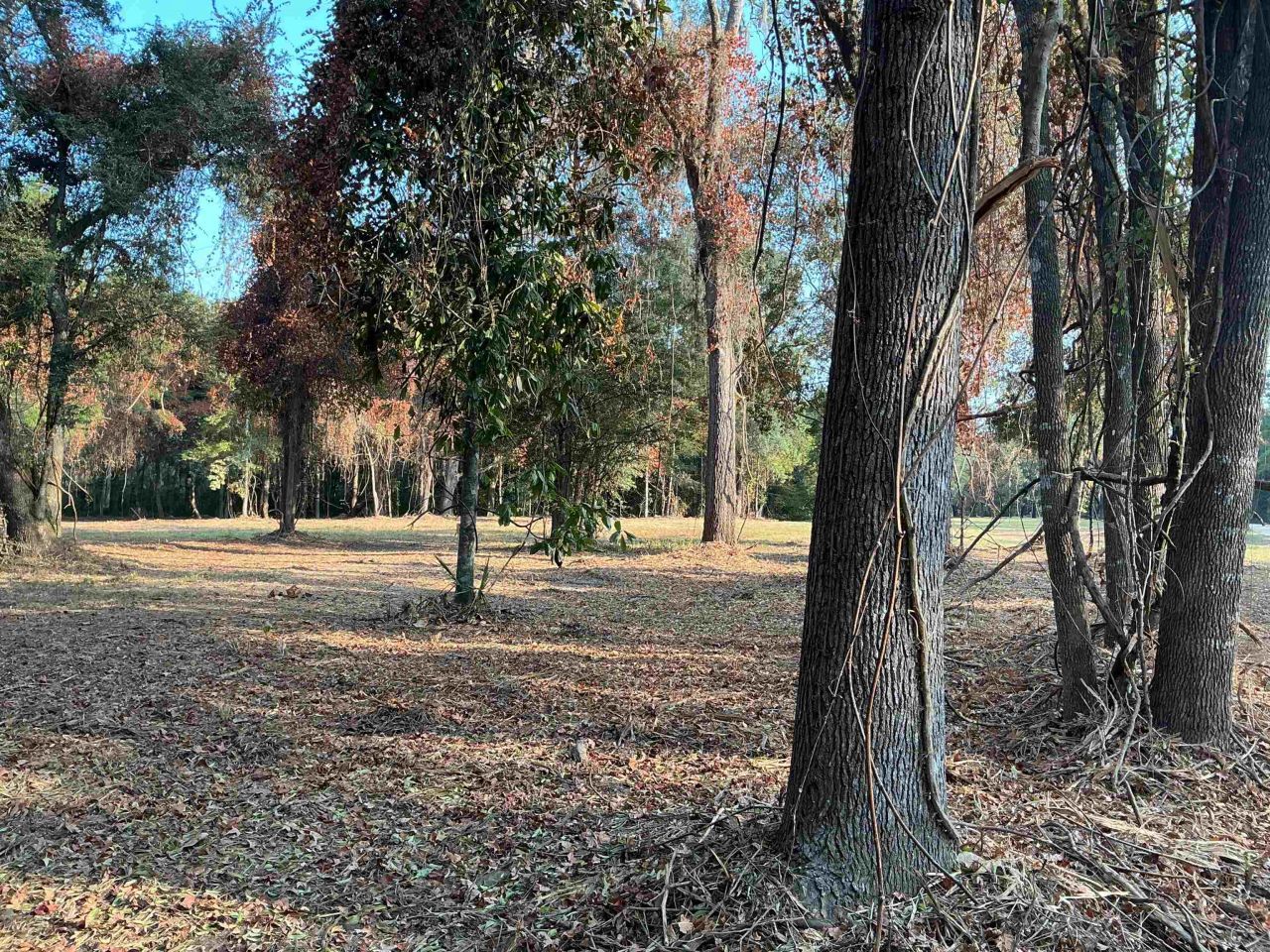 Lot 8 Sneads Drive, Greenville, FL 00000 Photo