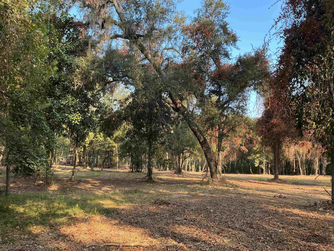 Lot 8 Sneads Drive, Greenville, FL 00000 Photo