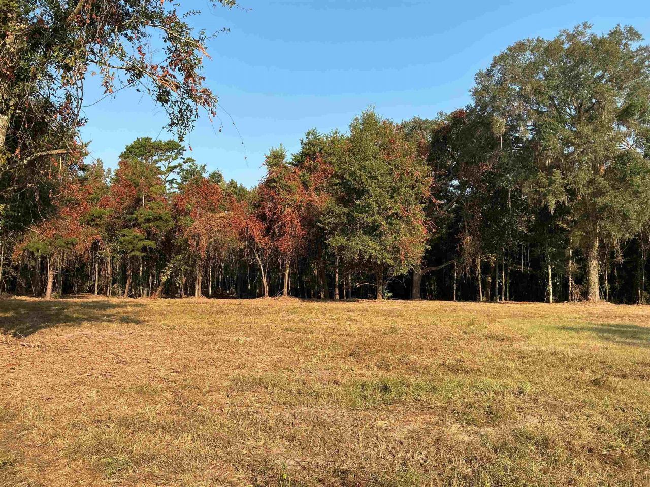 Lot 8 Sneads Drive, Greenville, FL 00000 Photo