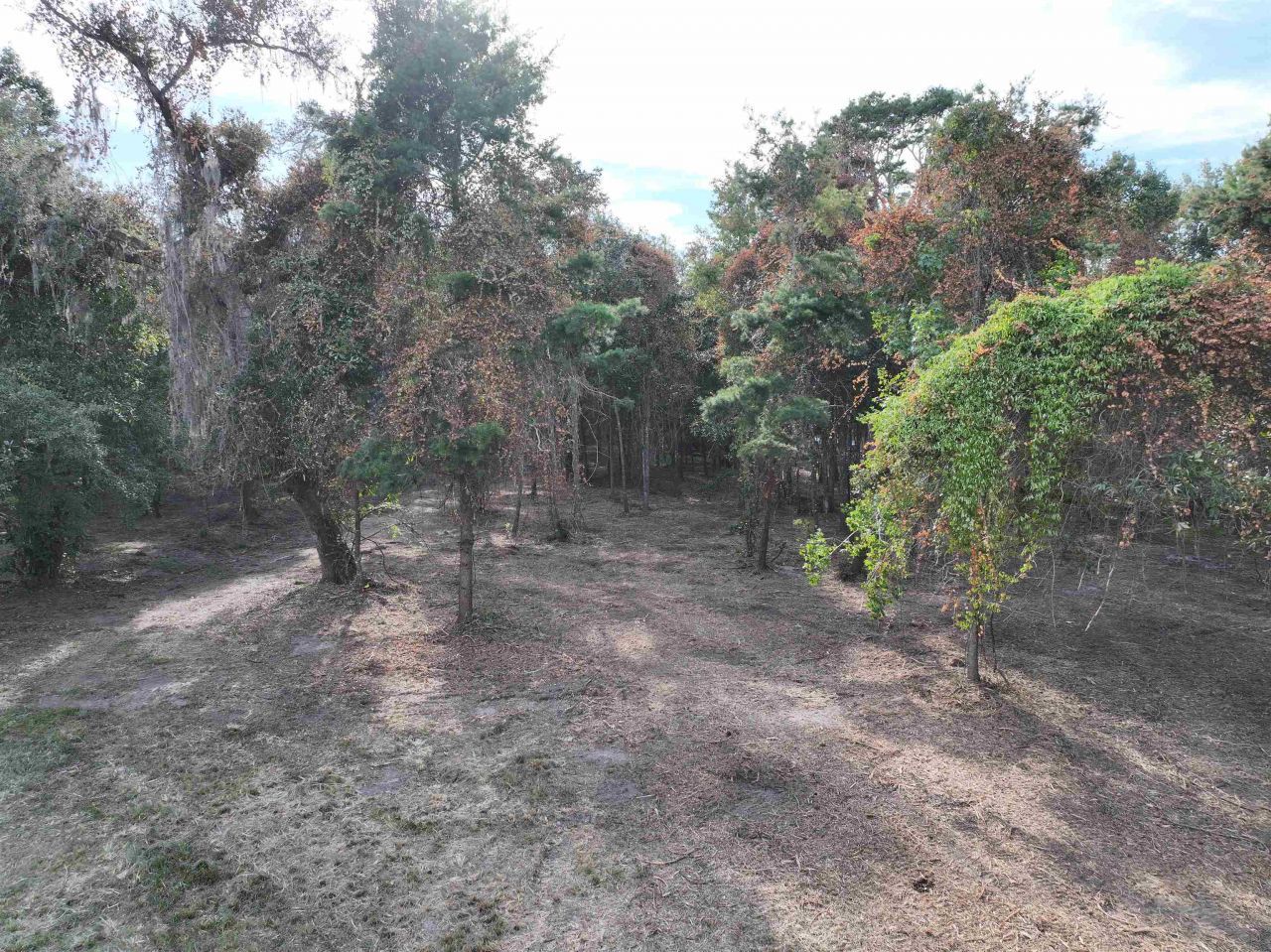 Lot 8 Sneads Drive, Greenville, FL 00000 Photo