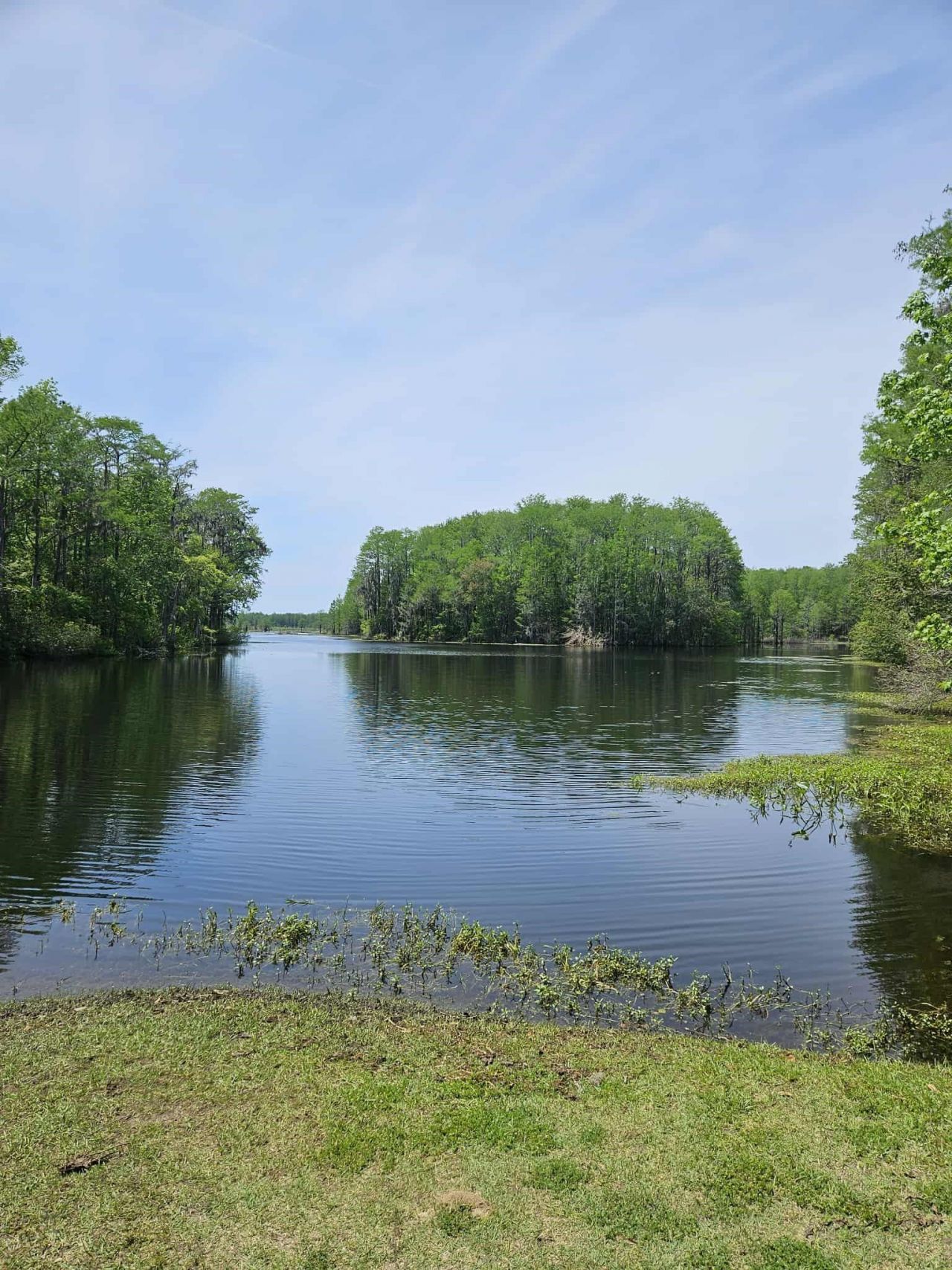Lot 8 Sneads Drive, Greenville, FL 00000 Photo