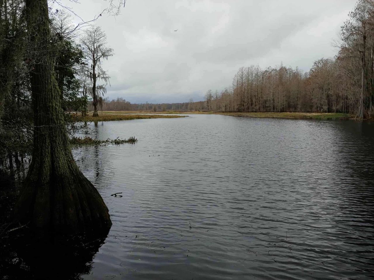 Lot 8 Sneads Drive, Greenville, FL 00000 Photo