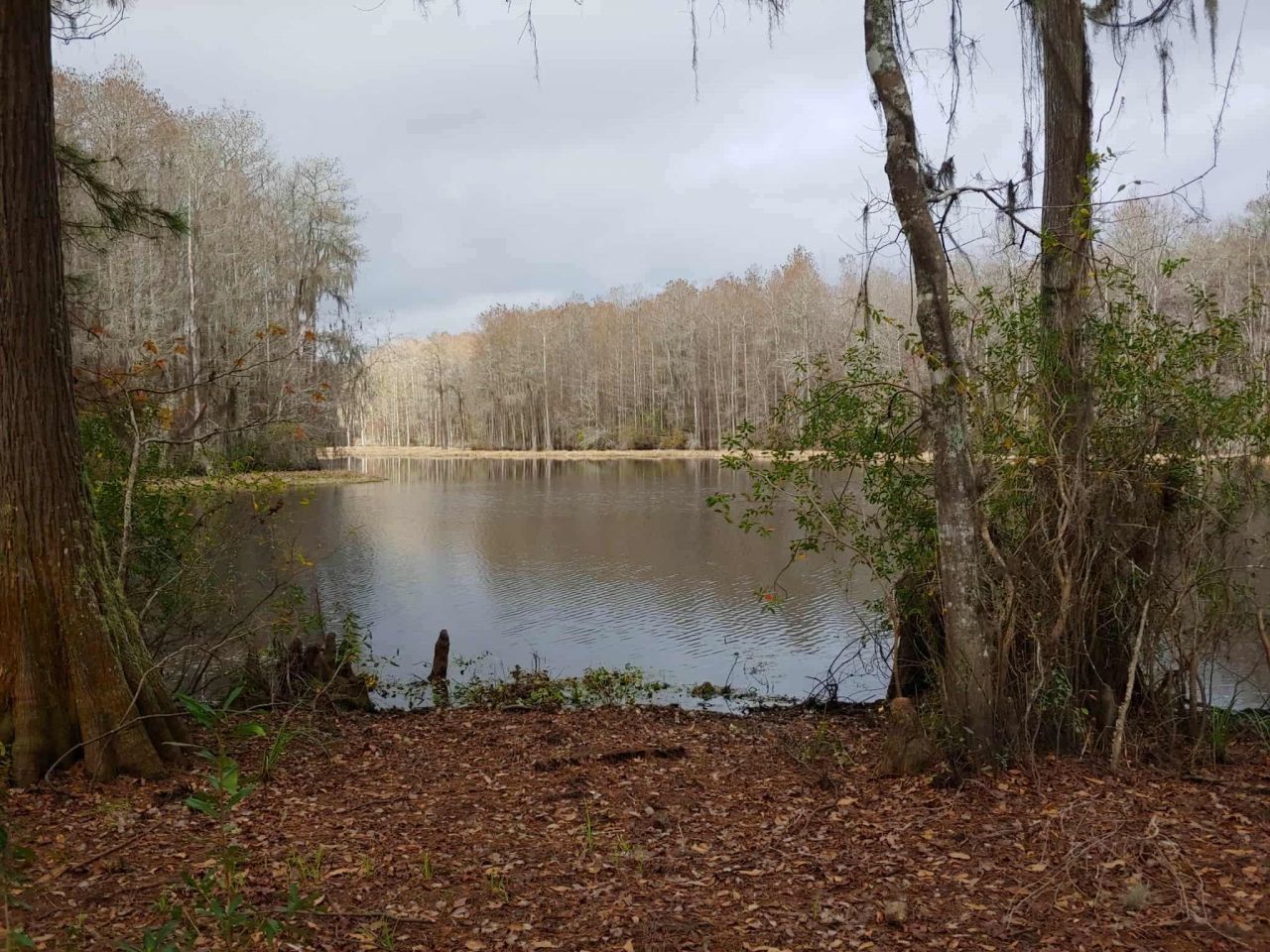 Lot 8 Sneads Drive, Greenville, FL 00000 Photo