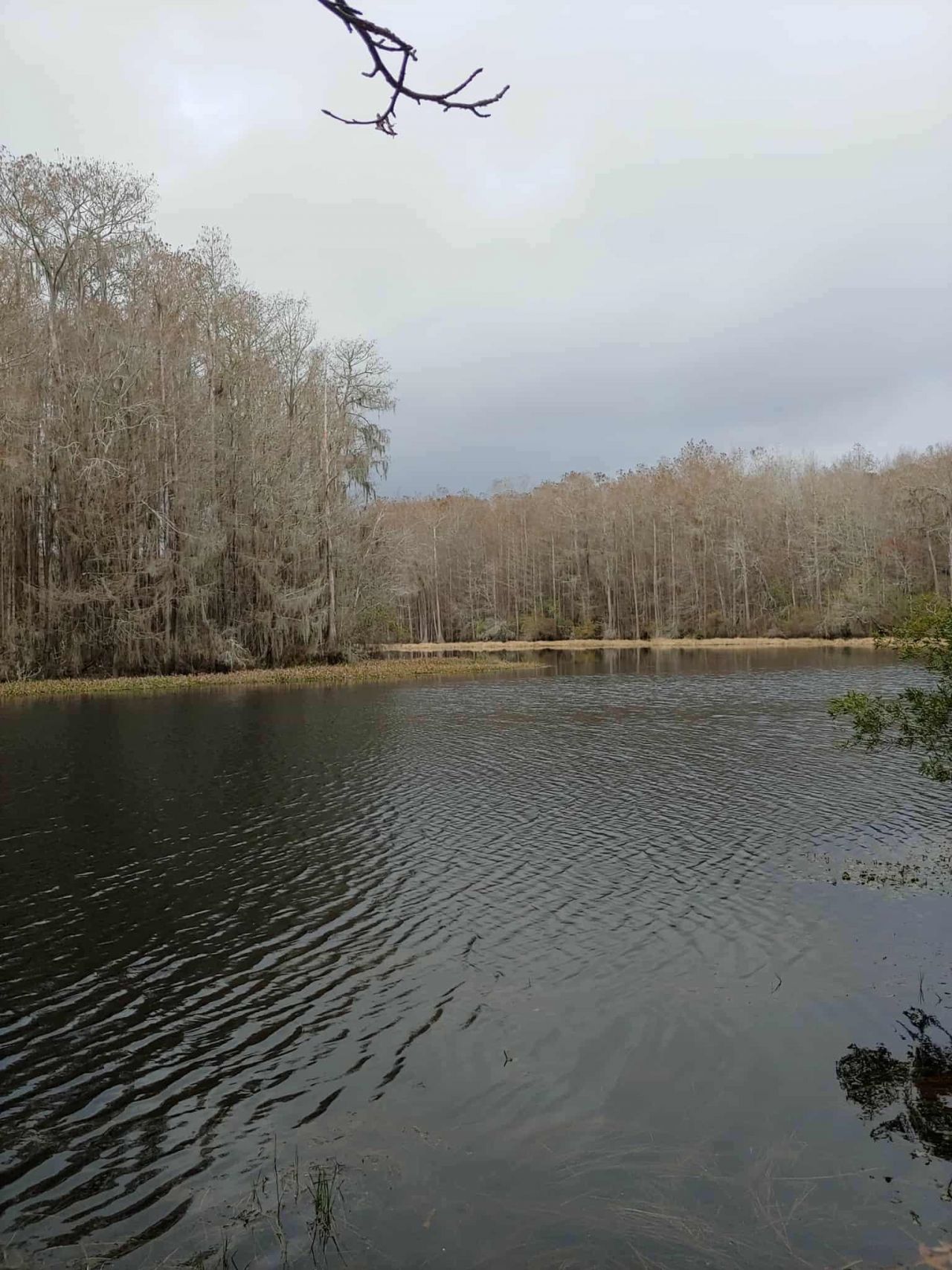 Lot 8 Sneads Drive, Greenville, FL 00000 Photo