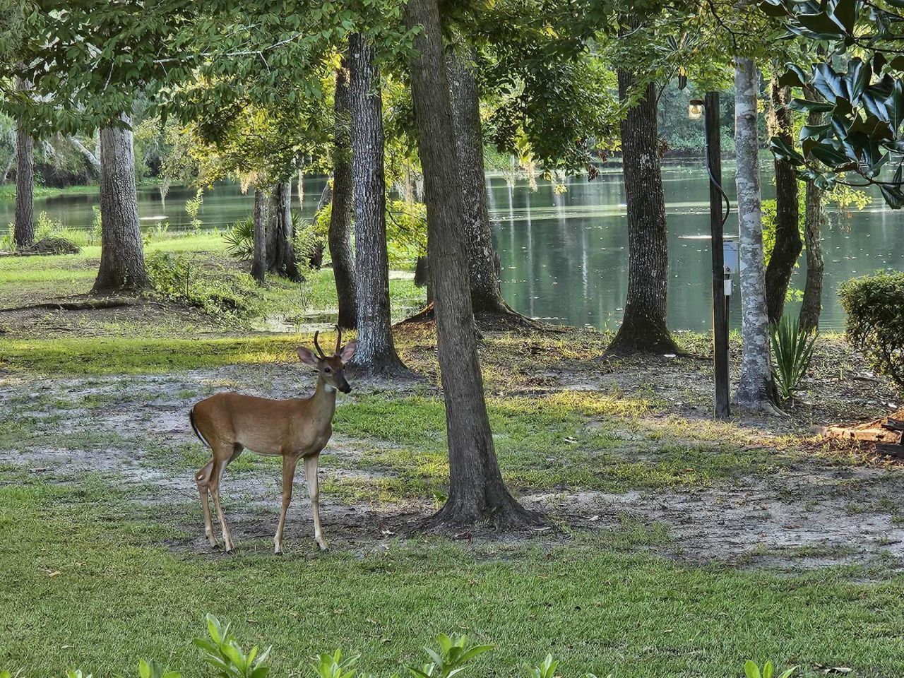 Lot 8 Sneads Drive, Greenville, FL 00000 Photo